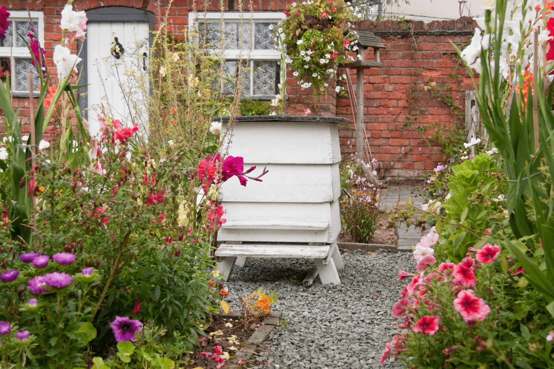 L'article de blog explique à quelle période installer sa ruche et l'importance de choisir le bon moment dans le cadre de l'apiculture. 