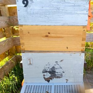 Muselière anti frelons asiatique pour ruche