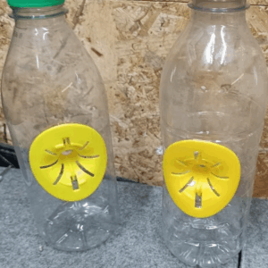 Piège bouteille frelons