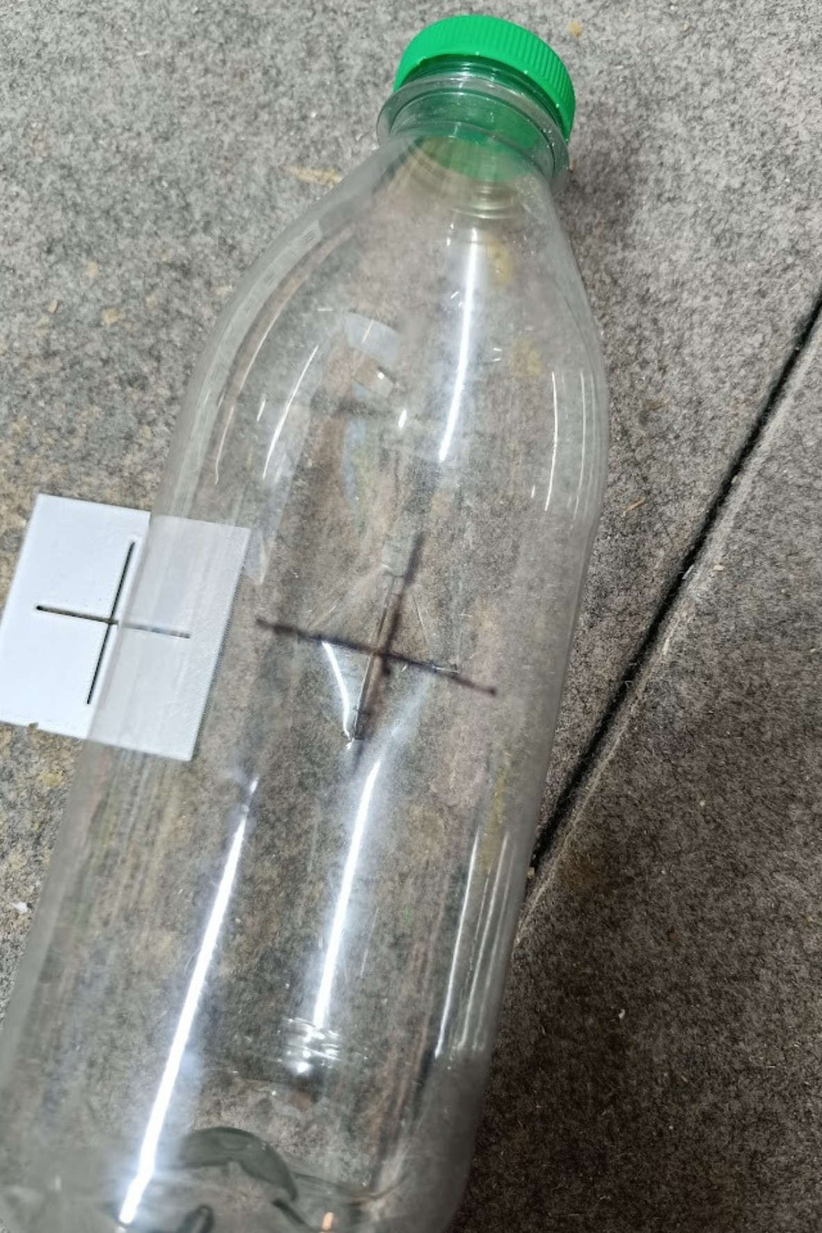 Piège bouteille frelons – Image 3